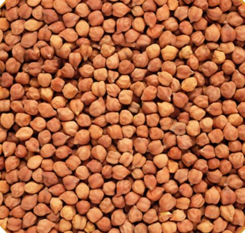 Black Gram / Desi Chick Peas