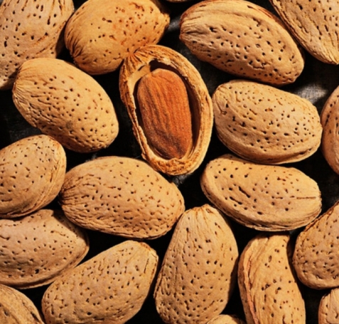 Almond Kernel / Inshell