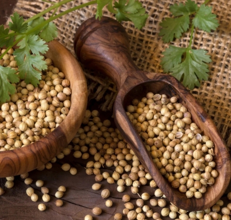 Coriander Seeds