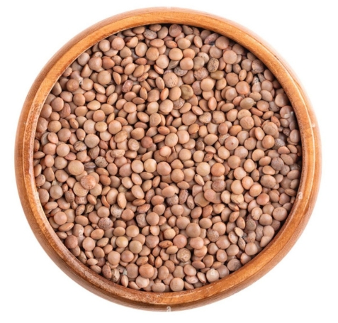 Crimson Lentil Whole
