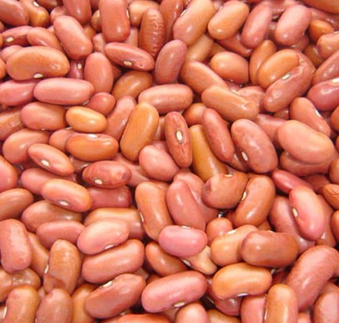 Light Red Kidney Beans
