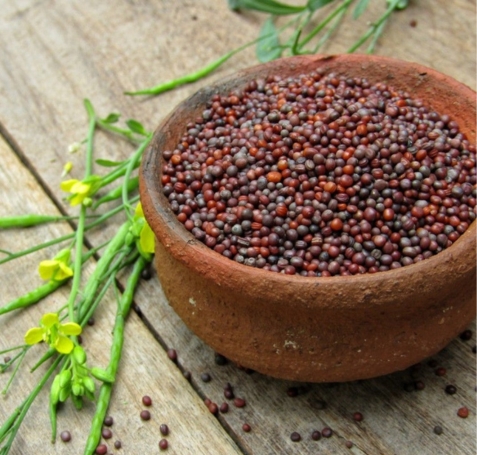 Mustard seeds