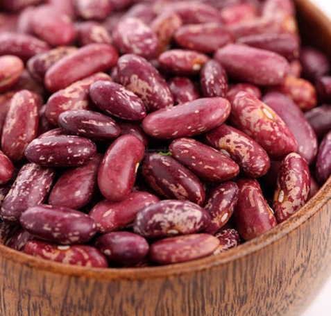 Purple Speckled Kidney Beans