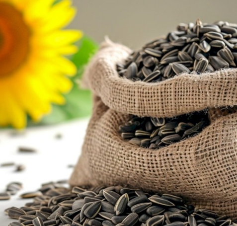 Sunflower Seeds