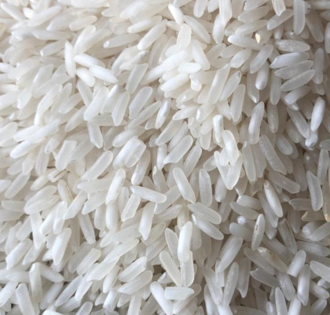 IRRI 6 Rice